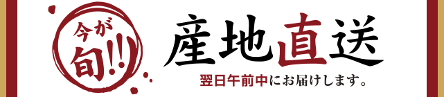 今が旬！産地直送　仕入れた翌日午前中にお届けします。