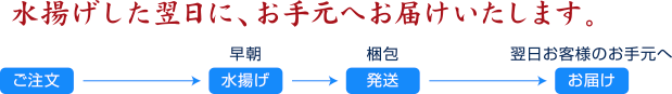 水揚げの翌日に、お手元へお届けいたします。