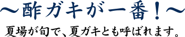 酢ガキが一番！　夏場が旬で夏ガキとも呼ばれます。