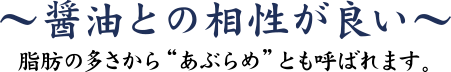 アイナメ　～醤油との相性が良い～ その脂肪の多さから“あぶらめ”とも呼ばれます。