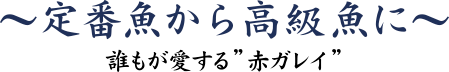 定番魚から高級魚に ～誰もが愛する”赤ガレイ”～