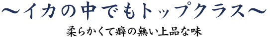 イカの中でもトップクラス～やわらかくて癖の無い上品な味～