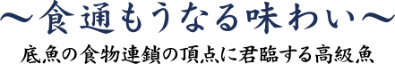 底魚の食物連鎖の頂点に君臨する高級魚