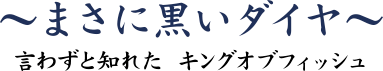 まさに黒いダイヤ