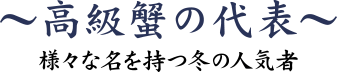 高級蟹の代表～様々な名をもつ冬の人気者～