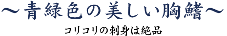 青緑色の美しい胸鰭～コリコリの刺身は絶品～