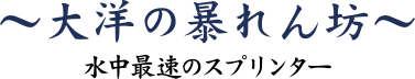 カジキ　大洋の暴れん坊 ～水中最速のスプリンター～