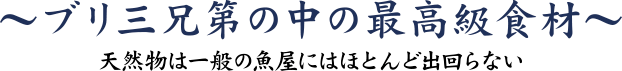 ブリ三兄第の中の最高級食材