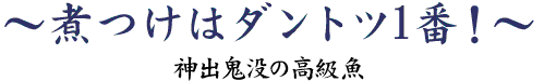 煮つけはダントツ1番！～神出鬼没の高級魚～