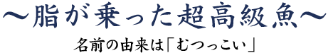 脂が乗った超高級魚～名前の由来は「むつっこい」