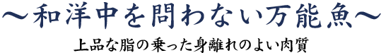 和洋中を問わない万能魚～上質な脂の乗った身離れのよい肉質～