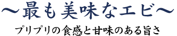 最も美味なエビ～プリプリ食感と甘みのある旨さ～