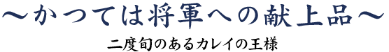 かつては将軍への献上品～二度旬のあるカレイの王様～