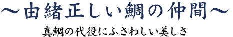 由緒正しい鯛の仲間～真鯛の代役にふさわしい美しさ～