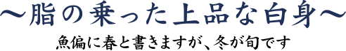 魚偏に春と書きますが、冬が旬です。