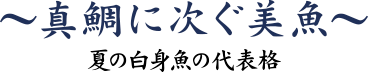 スズキ　真鯛に次ぐ美魚 ～夏の白身魚の代表格～