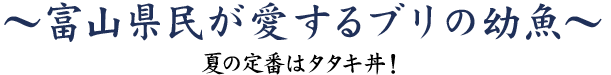 富山県民が愛するブリの幼魚～夏の定番はタタキ丼！～
