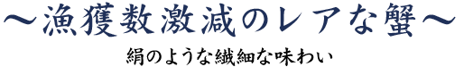 漁獲数激減のレアな蟹～絹のような繊細な味わい～