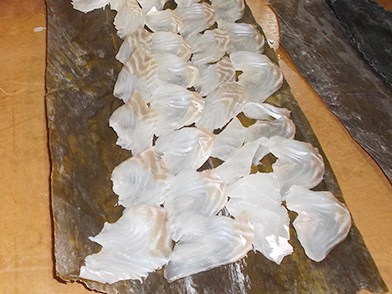 kobujime-kawahagi
